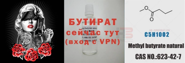прущие грибы Михайлов