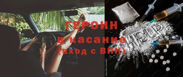 прущие грибы Михайлов