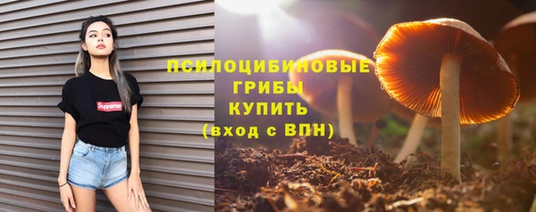 прущие грибы Михайлов